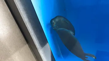 仙台うみの杜水族館に投稿された画像（2020/8/8）
