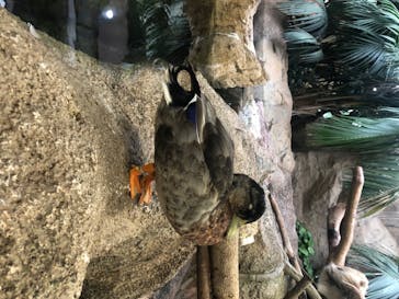 神戸どうぶつ王国に投稿された画像（2020/8/8）