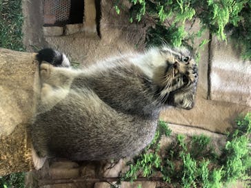 神戸どうぶつ王国に投稿された画像（2020/8/8）