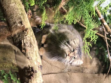 神戸どうぶつ王国に投稿された画像（2020/8/8）