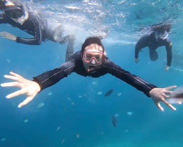 MalDive（モルダイブ）に投稿された画像（2020/8/8）