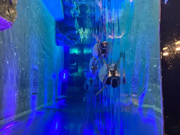 すみだ水族館に投稿された画像（2020/8/8）