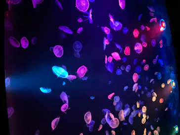 すみだ水族館に投稿された画像（2020/8/8）