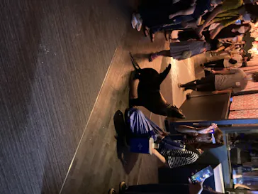 すみだ水族館に投稿された画像（2020/8/8）