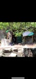 伊豆シャボテン動物公園に投稿された画像（2020/8/8）