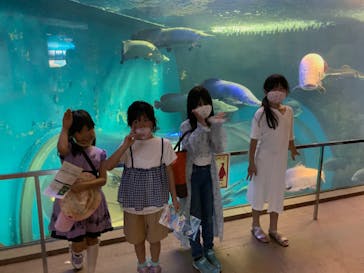 株式会社Gに投稿された画像（2020/8/8）