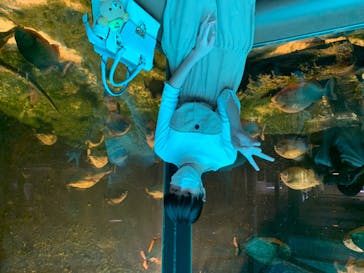 株式会社Gに投稿された画像（2020/8/8）