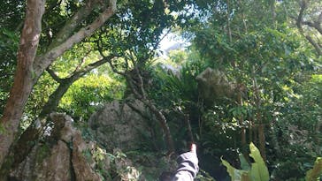 アスムイハイクスに投稿された画像（2020/8/8）