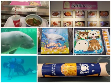 鳥羽水族館に投稿された画像（2020/8/8）