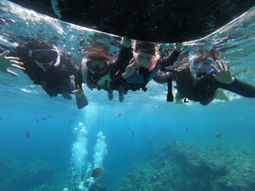 MalDive（モルダイブ）に投稿された画像（2020/8/8）