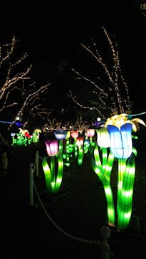 としまえんに投稿された画像（2020/8/8）