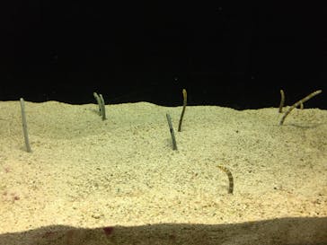 株式会社Gに投稿された画像（2020/8/8）