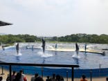 京都水族館に投稿された画像（2020/8/8）