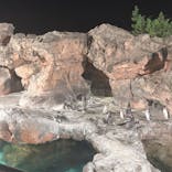 アクアワールド茨城県大洗水族館に投稿された画像（2020/8/8）