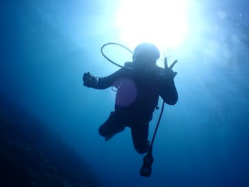 SeaJack divefamily （シージャック）に投稿された画像（2020/8/8）