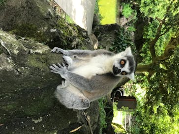 伊豆シャボテン動物公園に投稿された画像（2020/8/8）
