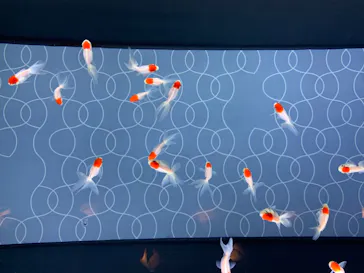 すみだ水族館に投稿された画像（2020/8/8）