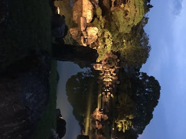 二条城×ネイキッド 二条城夏まつり2021に投稿された画像（2020/8/8）