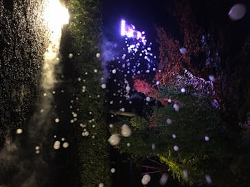 二条城×ネイキッド 二条城夏まつり2021に投稿された画像（2020/8/8）