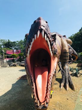 伊豆ぐらんぱる公園に投稿された画像（2020/8/8）