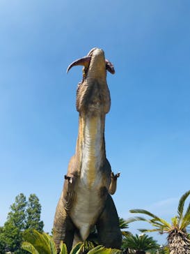 伊豆ぐらんぱる公園に投稿された画像（2020/8/8）