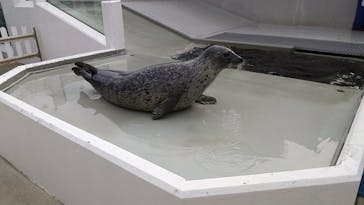 株式会社Gに投稿された画像（2020/8/8）