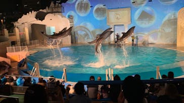 株式会社Gに投稿された画像（2020/8/8）