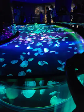 すみだ水族館に投稿された画像（2020/8/8）