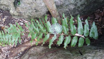 アスムイハイクスに投稿された画像（2020/8/8）