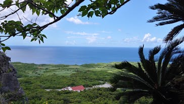 アスムイハイクスに投稿された画像（2020/8/8）