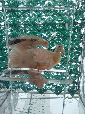 サンシャイン水族館に投稿された画像（2020/8/8）