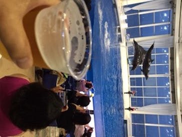 アクアワールド茨城県大洗水族館に投稿された画像（2020/8/8）