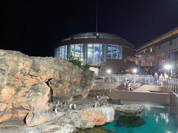 アクアワールド茨城県大洗水族館に投稿された画像（2020/8/8）