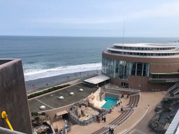 アクアワールド茨城県大洗水族館に投稿された画像（2020/8/8）
