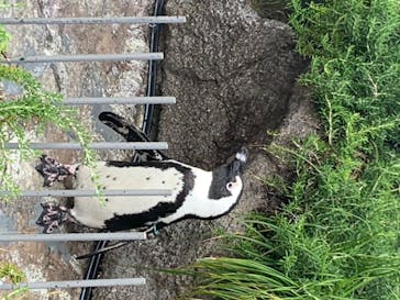 サンシャイン水族館に投稿された画像（2020/8/8）