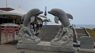 アクアワールド茨城県大洗水族館に投稿された画像（2020/8/8）