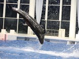 アクアワールド茨城県大洗水族館に投稿された画像（2020/8/8）