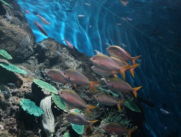 アクアワールド茨城県大洗水族館に投稿された画像（2020/8/8）