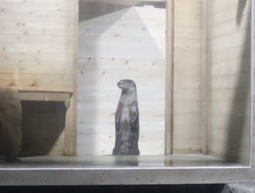 アクアワールド茨城県大洗水族館に投稿された画像（2020/8/8）