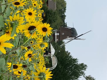 ふなばしアンデルセン公園に投稿された画像（2020/8/8）