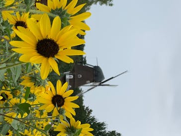 ふなばしアンデルセン公園に投稿された画像（2020/8/8）