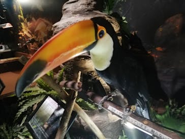 オービィ横浜に投稿された画像（2020/8/8）