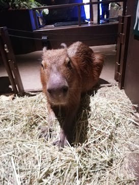 オービィ横浜に投稿された画像（2020/8/8）