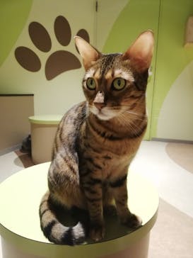 オービィ横浜に投稿された画像（2020/8/8）