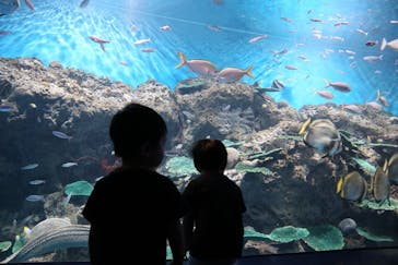 アクアワールド茨城県大洗水族館に投稿された画像（2020/8/8）