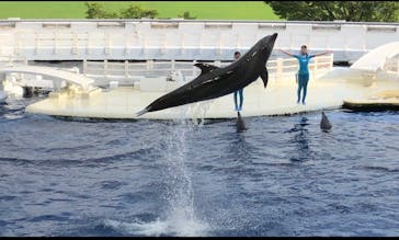 京都水族館に投稿された画像（2020/8/8）