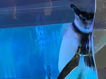 すみだ水族館に投稿された画像（2020/8/8）