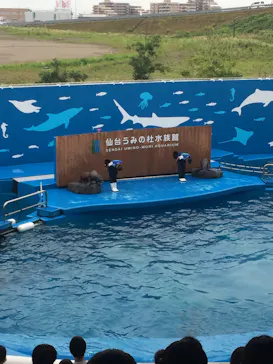 仙台うみの杜水族館に投稿された画像（2020/8/9）