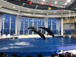アクアワールド茨城県大洗水族館に投稿された画像（2020/8/8）