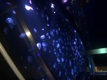 すみだ水族館に投稿された画像（2020/8/9）